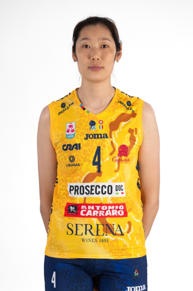 Zhu Ting