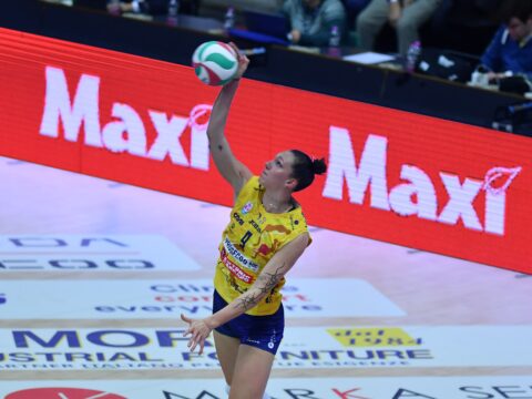 LE PANTERE FANNO LA SPESA CON SUPERMERCATI MAXì