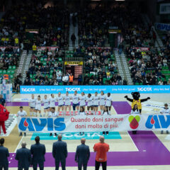 DOPPIO WEEKEND DI DONO&SPORT AL PALAVERDE- DUE DOMENICHE E 800 VOLONTARI DI AVIS TREVISO CON PANTERE TVB